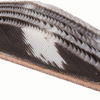 Wild Turkey Feather Arrow Rest RH