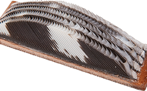 Wild Turkey Feather Arrow Rest RH