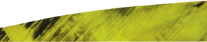 Gateway Tre-Bark Feathers Tre-Yellow 4 in. RW 100 pk.