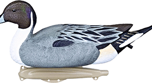 Flambeau Classic Pintail Decoy 6 pk.