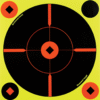 Birchwood Casey Shoot-N-C Target 8 in. Crosshair Bullseye 6 pk.
