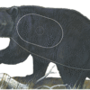 Maple Leaf NFAA Animal Faces Goup 1 Bear