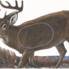 Maple Leaf NFAA Animal Faces Group 1 Deer