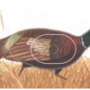 Maple Leaf NFAA Animal Faces Group 3 Pheasant