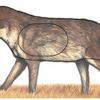 Maple Leaf NFAA Animal Faces Group 3 Coyote