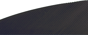 Gateway Rayzr Feathers Black 2 in. RW 50 pk.