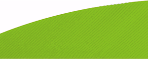 Gateway Rayzr Feathers Chartreuse 2 in. RW 50 pk.