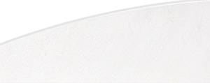 Gateway Rayzr Feathers White 2 in. LW 50 pk.