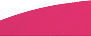 Gateway Rayzr Feathers Pink 2 in. RW 50 pk.