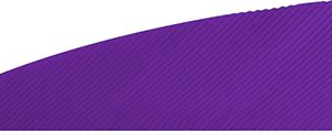 Gateway Rayzr Feathers Purple 2 in. RW 50 pk.