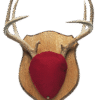 Montana Decoy Antelope Buck