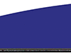 Q2i Fusion X-II Vanes Blue 2.1 in. 100 pk.