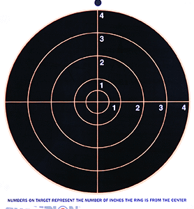Champion VisiShot Circle Target 8 in. 10 pk