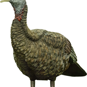Avian X Lookout Turkey Decoy