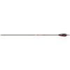 Gold Tip Hunter Arrows 340 4 in. Feathers 6 pk.