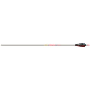 Gold Tip Hunter Arrows 340 4 in. Feathers 6 pk.