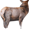 Montana Decoy Rocky Mountain Elk Foundation Decoy