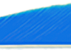 Trueflight Parabolic Feathers Blue 3 in. LW 100 pk.