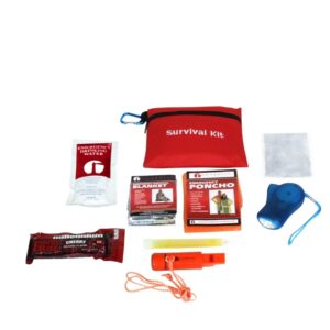 Children’s Mini Emergency Kit